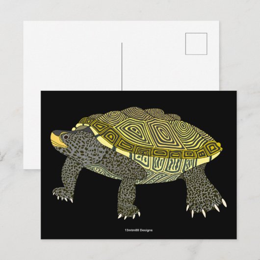 Schildkröte (schwarz) - Postkarte (Vorne/Hinten)