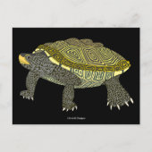 Schildkröte (schwarz) - Postkarte (Vorderseite)