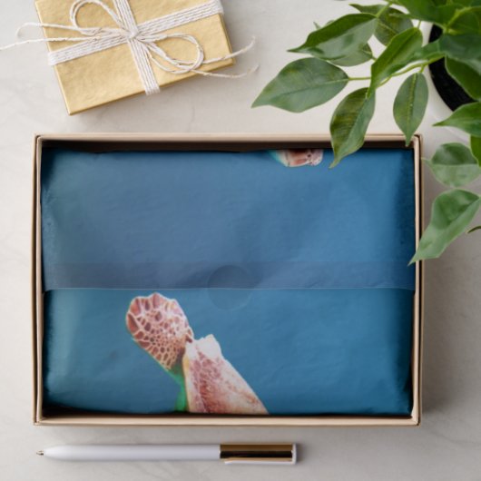 Schildkröte Seidenpapier (Geschenk)