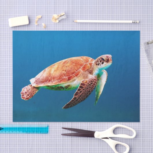 Schildkröte Seidenpapier (Handwerk)