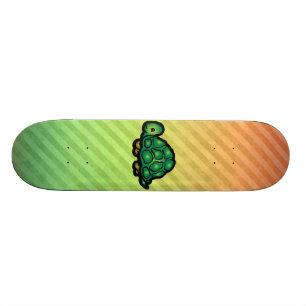 Schildkröte Skateboard