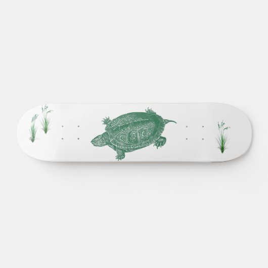 Schildkröte Skateboard (Horizontal)