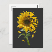 Schildkröte Sonnenblumen Garten Ozean Tierbewussts Postkarte (Vorne/Hinten)