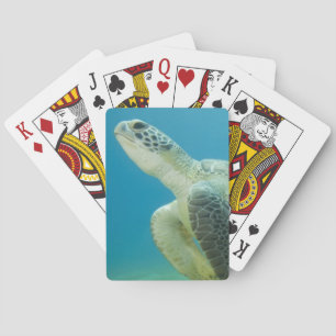 Schildkröte Spielkarten