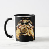 Schildkröte Tasse (Links)