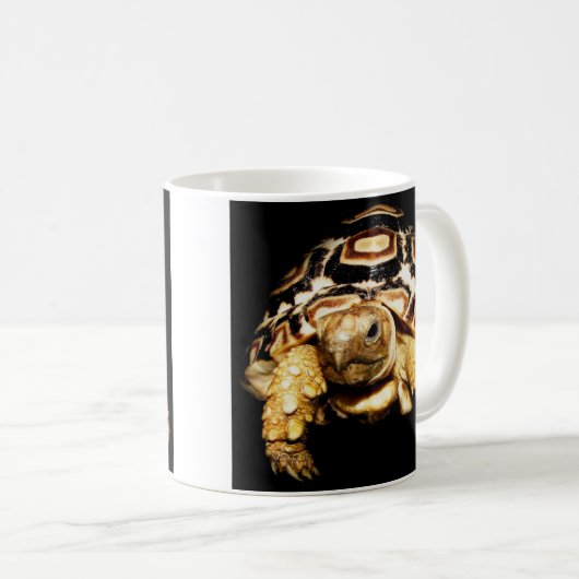 Schildkröte Tasse (VorderseiteRechts)