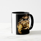 Schildkröte Tasse (VorderseiteRechts)