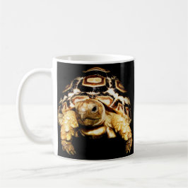 Schildkröte Tasse