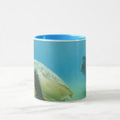 Schildkröte Tasse (Zentrum)