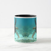 Schildkröte Tasse (Zentrum)