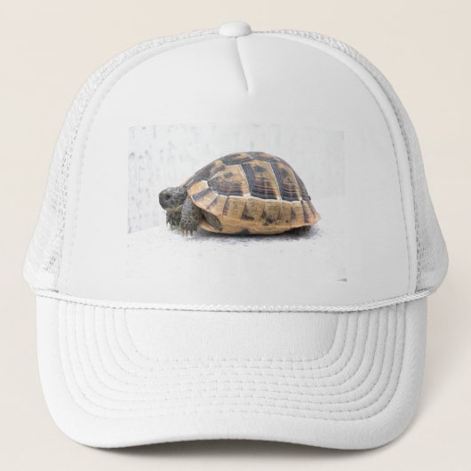 Schildkröte Truckerkappe (Vorderseite)