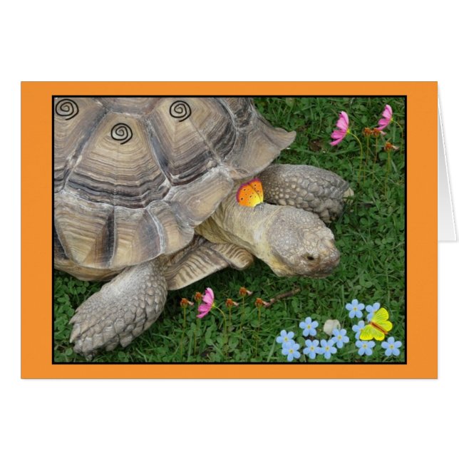 Schildkröte und Blumen (Vorderseite (Horizontal))