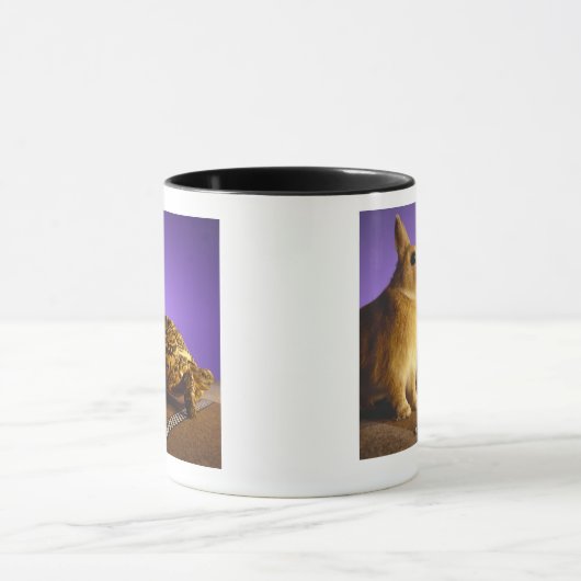 Schildkröte und die Hasen Tasse (Zentrum)