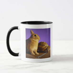 Schildkröte und die Hasen Tasse