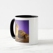 Schildkröte und die Hasen Tasse (Vorderseite Links)