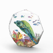 Schildkröte und Fische im Meer Fotoblock (Rechts)