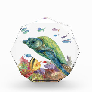 Schildkröte und Fische im Meer Fotoblock