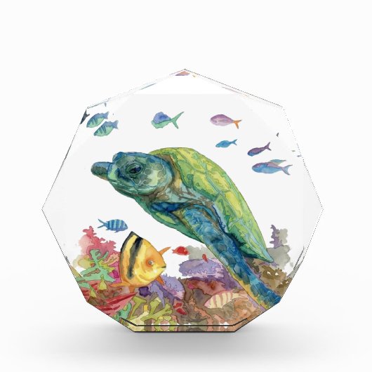 Schildkröte und Fische im Meer Fotoblock (Vorderseite)