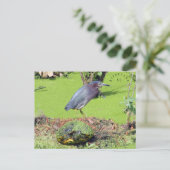 Schildkröte und Heron South Carolina Postkarte (Stehend Vorderseite)