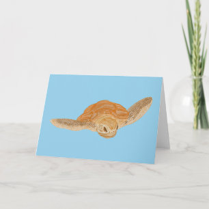 Schildkröte unter Wasser - transparent.   Karte