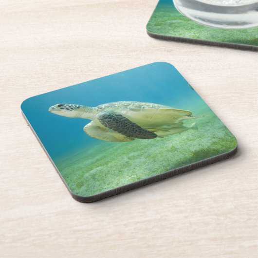 Schildkröte Untersetzer (Linke Seite)