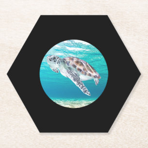 Schildkröte Untersetzer