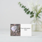 Schildkröte Visitenkarte (Stehend Vorderseite)