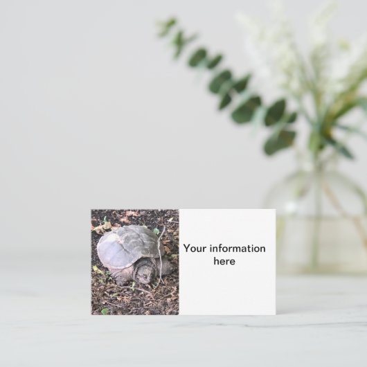 Schildkröte Visitenkarte (Stehend Vorderseite)