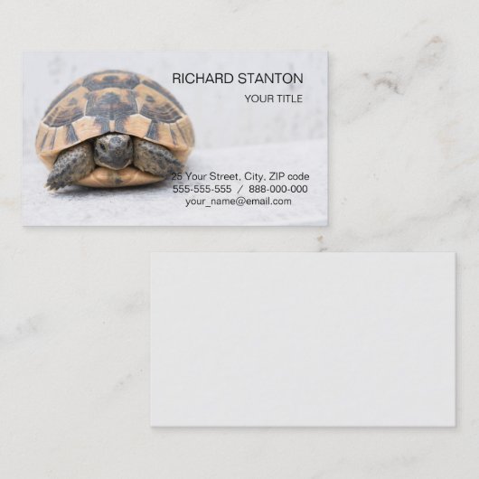 Schildkröte Visitenkarte (Vorne/Hinten)