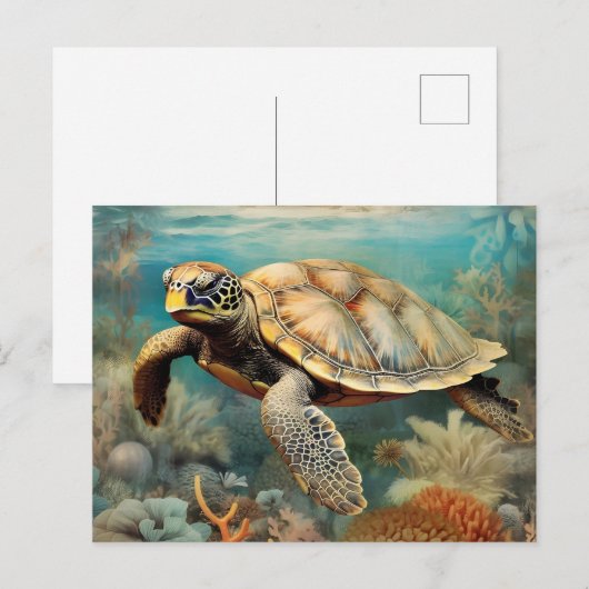 Schildkröte von der ruhigen Küste Postkarte (Vorne/Hinten)