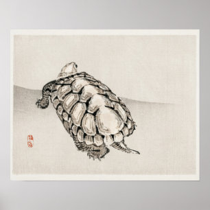 Schildkröte von Kōno Bairei (1844-1895) Poster