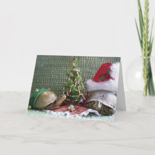 Schildkröte-Weihnachten Feiertagskarte