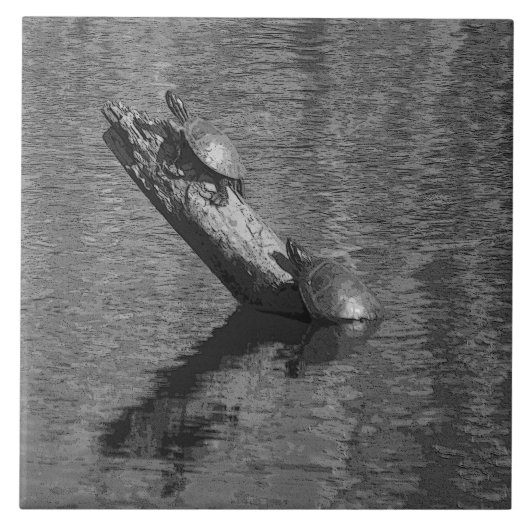 Schildkröte-Zeit setzt zwei Keramik-der Fliese (Vorderseite)