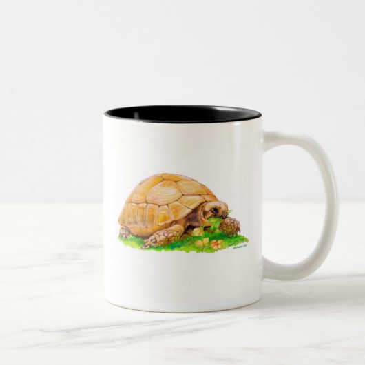 Schildkröte Zweifarbige Tasse (Rechts)