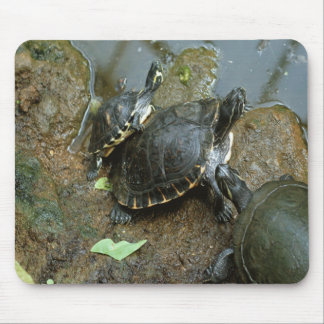 SchildkröteMausunterlage Mousepad