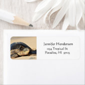 Schildkröten-Adressenmarken (Insitu)