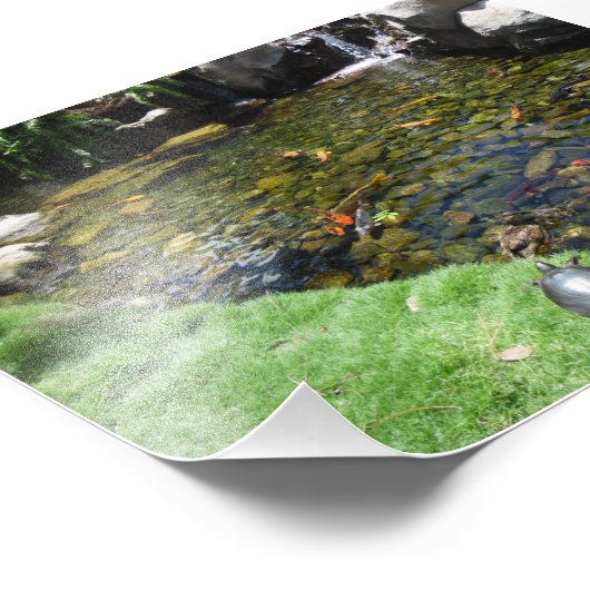 Schildkröten am Koi-Teich Fotodruck (Ecke)