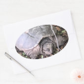 Schildkröten-Aufkleber Ovaler Aufkleber (Umschlag)