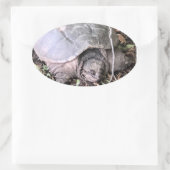 Schildkröten-Aufkleber Ovaler Aufkleber (Tasche)