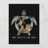 Schildkröten, die sie hier lebten, Erdschildkröten Postkarte (Vorderseite)