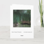 "Schildkröten" - Digital transformierte Marsh- und Karte (Rückseite)