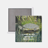 Schildkröten-Foto mit Reflektionsart Magnet (Vorderseite/Rückseite)