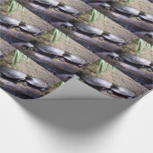 Schildkröten Geschenkpapier (Ecke)
