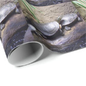 Schildkröten Geschenkpapier (Rolleneckpunkt)