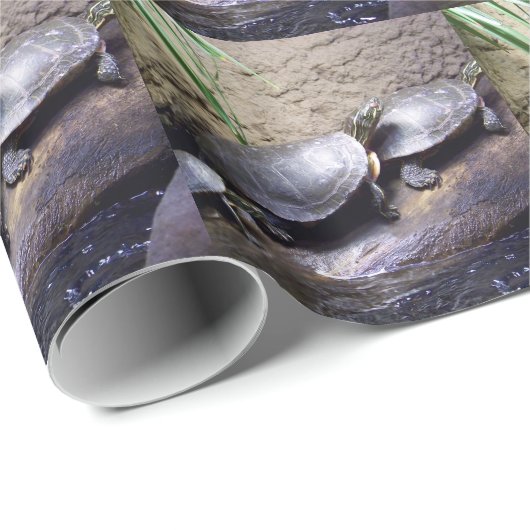 Schildkröten Geschenkpapier (Rolleneckpunkt)