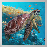 Schildkröten im Grünen in der Nähe des Korallenrif