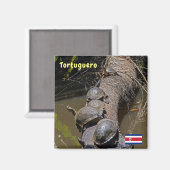 Schildkröten im Tortuguero Nationalpark - Costa Ri Magnet (Vorderseite/Rückseite)