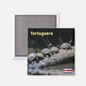 Schildkröten im Tortuguero Nationalpark - Costa Ri Magnet (Vorderseite/Rückseite)