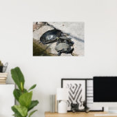 Schildkröten in einem Foto Poster (Heimbüro)
