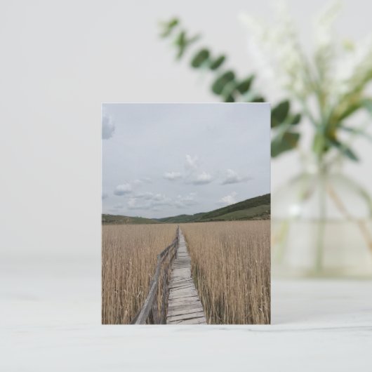 Schildkröten in einem Sumpf in Rumänien Postkarte (Stehend Vorderseite)